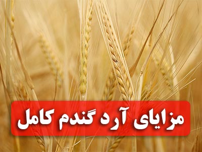 بلاگ مزایای آرد گندم کامل